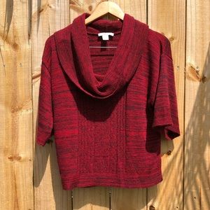 Christopher & Banks sweater cowl